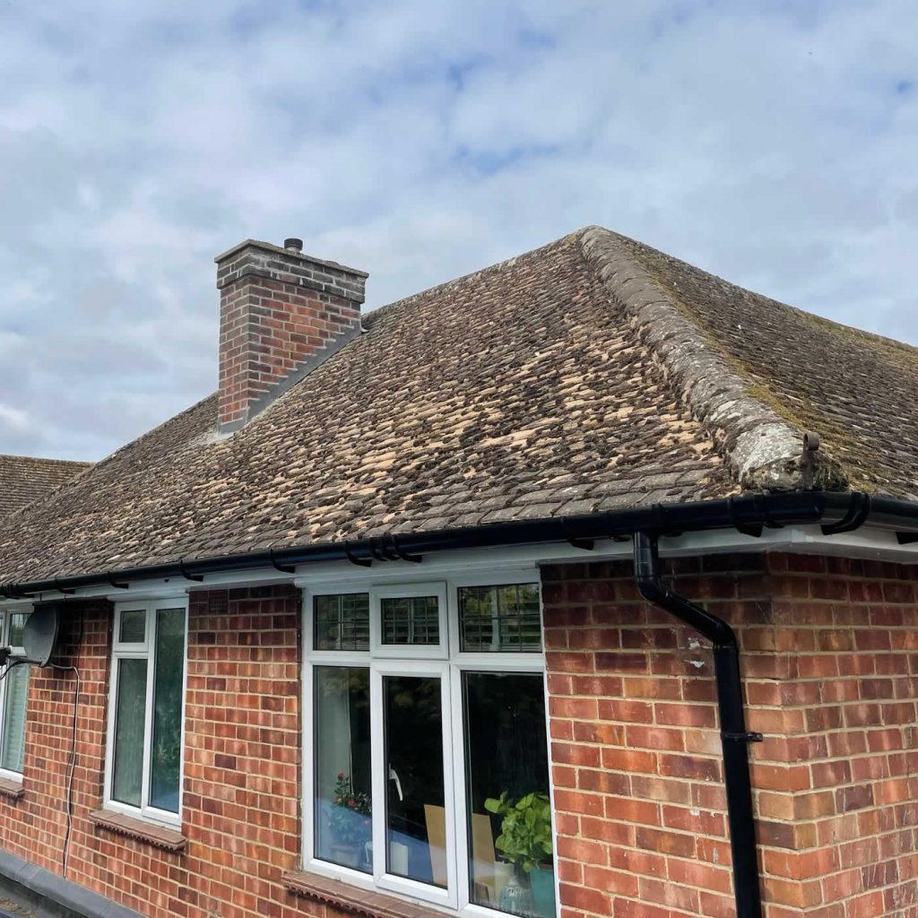 Moss, lichen covered dirty bungalow roof