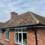 Moss, lichen covered dirty bungalow roof