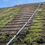 Moss scraped off roof