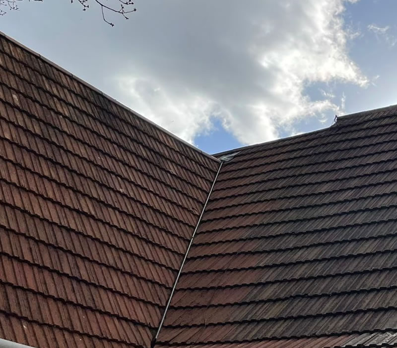 After moss cleared from farmhouse and biocide treatment