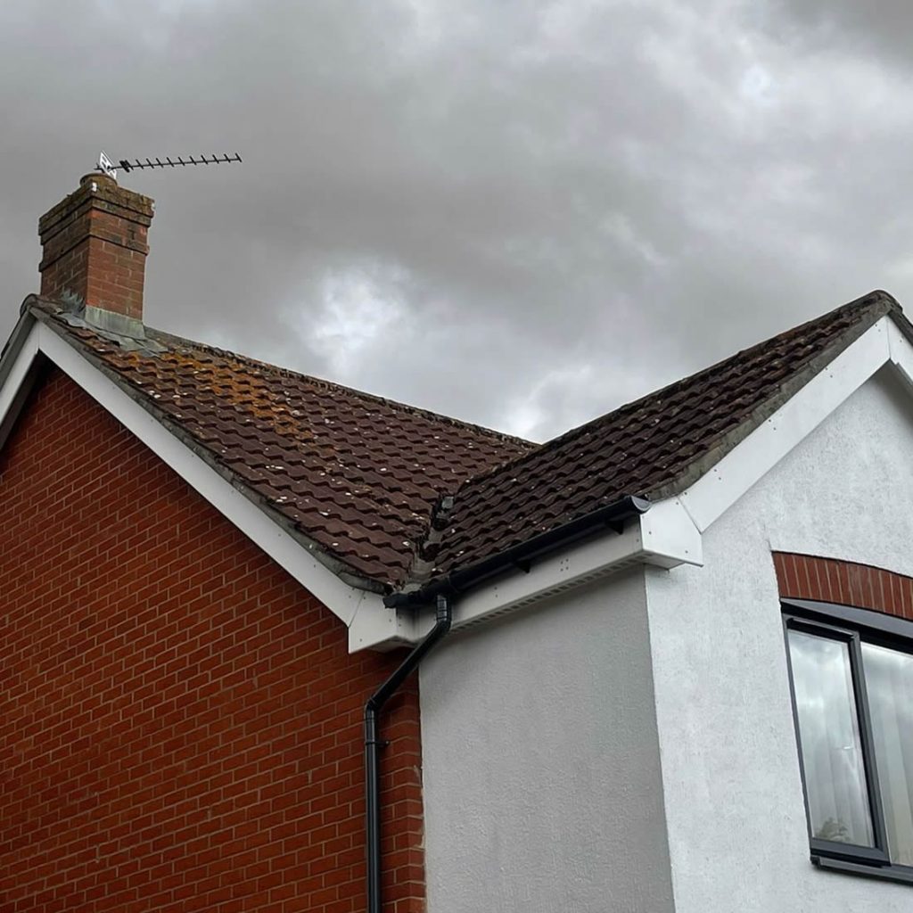 Modern house with moss and lichen on roof tiles